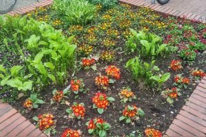 How much soil do I need in my raised garden bed?